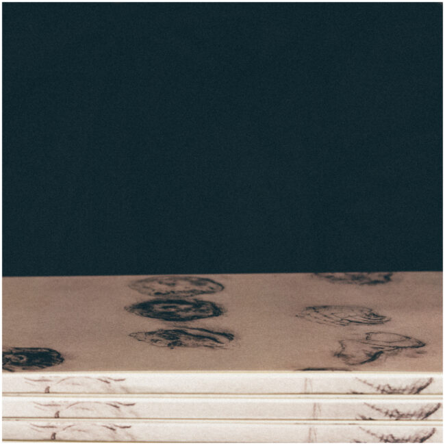 Caracoles, Semillas Y Cuerpos, 2016